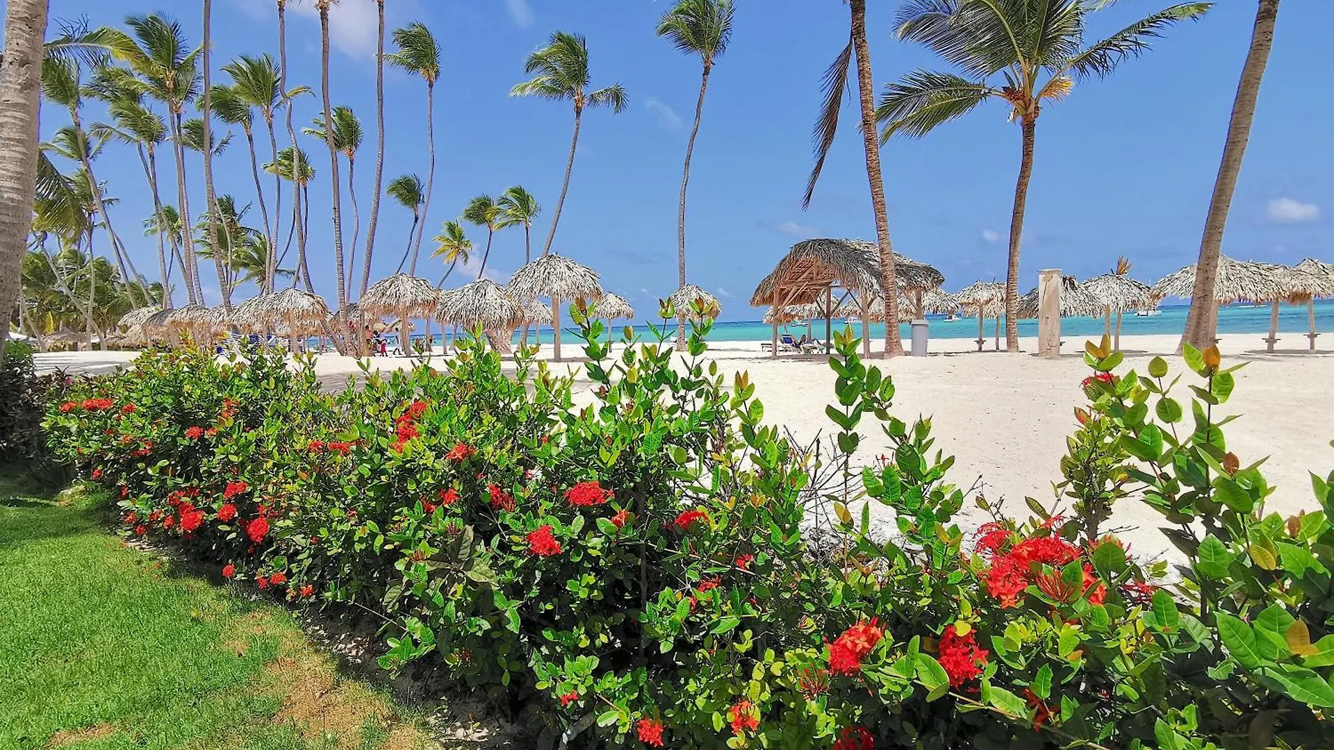 *****  Beach Villas & Apartments Long Term Vacation Hotel Bavaro Beach Club & Spa Punta Cana République dominicaine